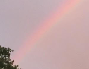 auburn rainbow